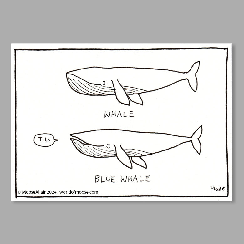 Blue Whale cartoon